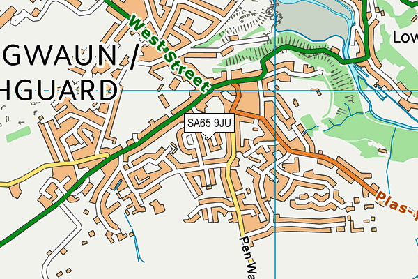 SA65 9JU map - OS VectorMap District (Ordnance Survey) SA65 9JU map - OS VectorMap District (Ordnance Survey)