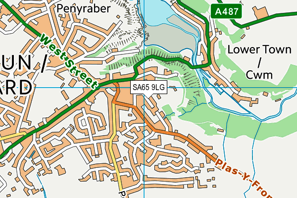 SA65 9LG map - OS VectorMap District (Ordnance Survey)