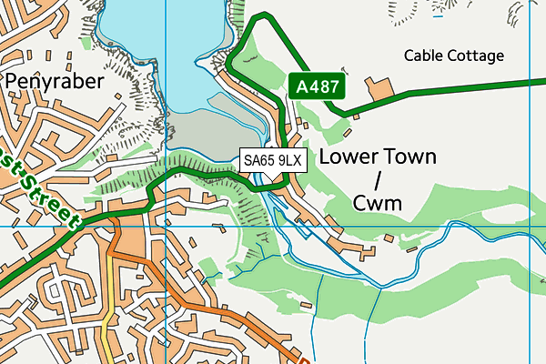 SA65 9LX map - OS VectorMap District (Ordnance Survey) SA65 9LX map - OS VectorMap District (Ordnance Survey)