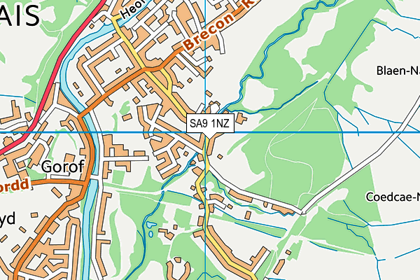 SA9 1NZ map - OS VectorMap District (Ordnance Survey)