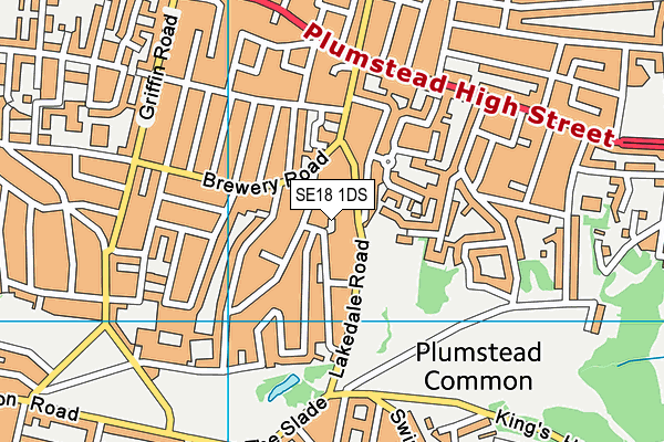 SE18 1DS map - OS VectorMap District (Ordnance Survey) SE18 1DS map - OS VectorMap District (Ordnance Survey)