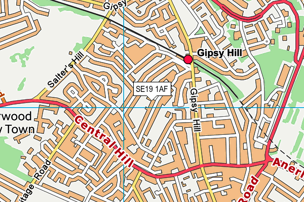 SE19 1AF map - OS VectorMap District (Ordnance Survey) SE19 1AF map - OS VectorMap District (Ordnance Survey)