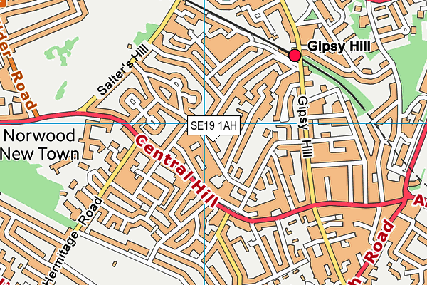 SE19 1AH map - OS VectorMap District (Ordnance Survey) SE19 1AH map - OS VectorMap District (Ordnance Survey)