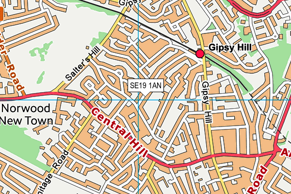 SE19 1AN map - OS VectorMap District (Ordnance Survey) SE19 1AN map - OS VectorMap District (Ordnance Survey)