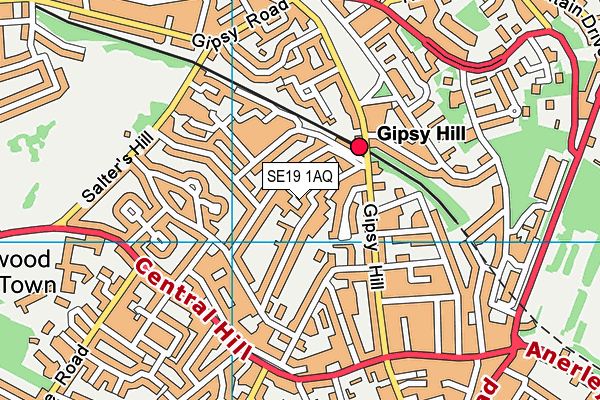 SE19 1AQ map - OS VectorMap District (Ordnance Survey) SE19 1AQ map - OS VectorMap District (Ordnance Survey)