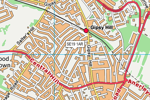 SE19 1AR map - OS VectorMap District (Ordnance Survey) SE19 1AR map - OS VectorMap District (Ordnance Survey)