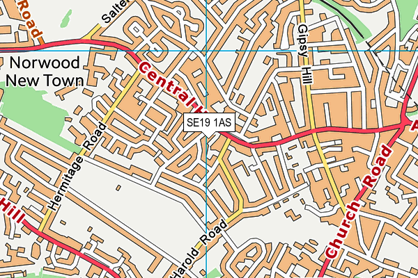 SE19 1AS map - OS VectorMap District (Ordnance Survey) SE19 1AS map - OS VectorMap District (Ordnance Survey)