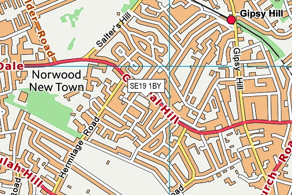 SE19 1BY map - OS VectorMap District (Ordnance Survey) SE19 1BY map - OS VectorMap District (Ordnance Survey)