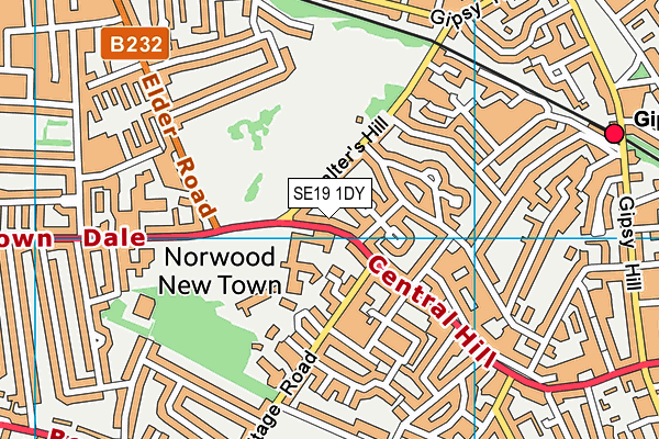 SE19 1DY map - OS VectorMap District (Ordnance Survey) SE19 1DY map - OS VectorMap District (Ordnance Survey)