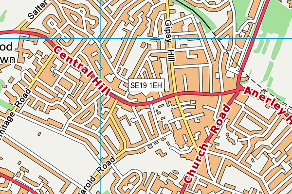 SE19 1EH map - OS VectorMap District (Ordnance Survey) SE19 1EH map - OS VectorMap District (Ordnance Survey)