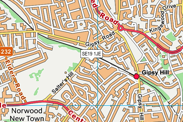 SE19 1JE map - OS VectorMap District (Ordnance Survey) SE19 1JE map - OS VectorMap District (Ordnance Survey)