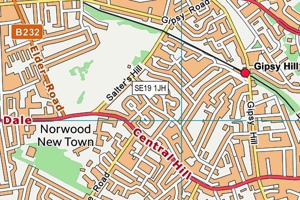 SE19 1JH map - OS VectorMap District (Ordnance Survey) SE19 1JH map - OS VectorMap District (Ordnance Survey)