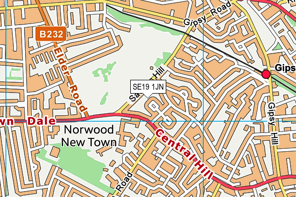 SE19 1JN map - OS VectorMap District (Ordnance Survey) SE19 1JN map - OS VectorMap District (Ordnance Survey)