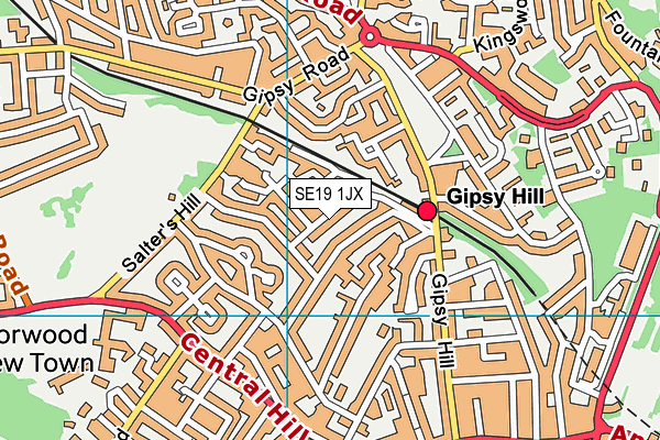 SE19 1JX map - OS VectorMap District (Ordnance Survey) SE19 1JX map - OS VectorMap District (Ordnance Survey)