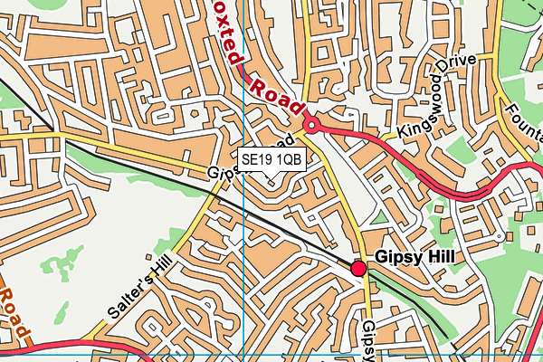 SE19 1QB map - OS VectorMap District (Ordnance Survey) SE19 1QB map - OS VectorMap District (Ordnance Survey)