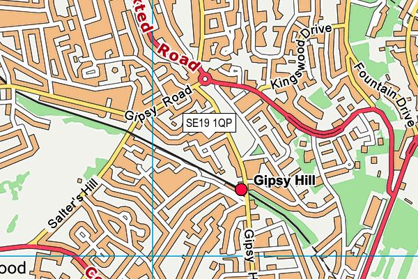 SE19 1QP map - OS VectorMap District (Ordnance Survey) SE19 1QP map - OS VectorMap District (Ordnance Survey)