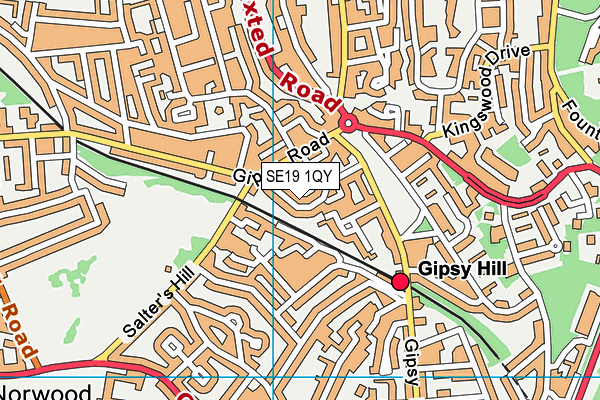 SE19 1QY map - OS VectorMap District (Ordnance Survey) SE19 1QY map - OS VectorMap District (Ordnance Survey)