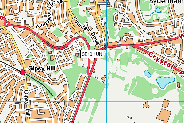 SE19 1UN map - OS VectorMap District (Ordnance Survey) SE19 1UN map - OS VectorMap District (Ordnance Survey)