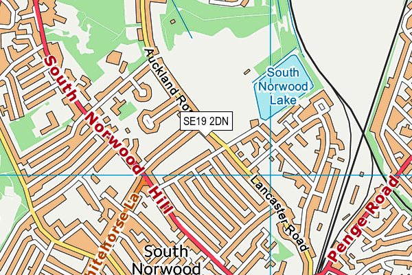 SE19 2DN map - OS VectorMap District (Ordnance Survey) SE19 2DN map - OS VectorMap District (Ordnance Survey)