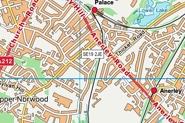 SE19 2JE map - OS VectorMap District (Ordnance Survey)