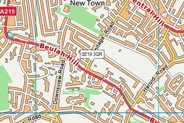 SE19 3QR map - OS VectorMap District (Ordnance Survey) SE19 3QR map - OS VectorMap District (Ordnance Survey)