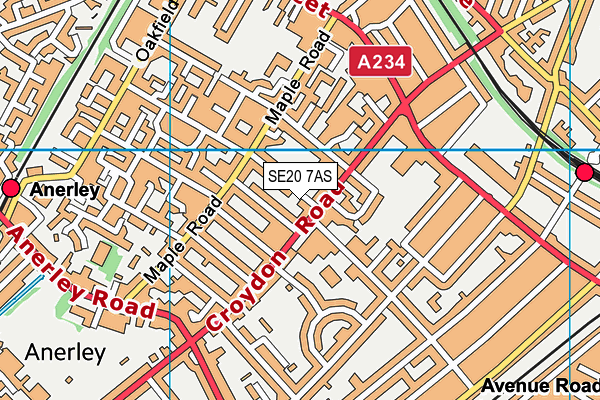 SE20 7AS map - OS VectorMap District (Ordnance Survey) SE20 7AS map - OS VectorMap District (Ordnance Survey)