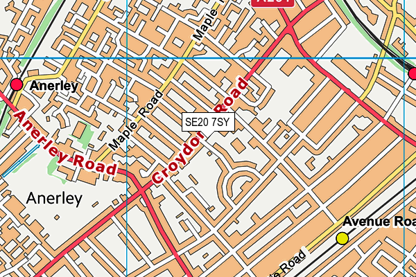 SE20 7SY map - OS VectorMap District (Ordnance Survey) SE20 7SY map - OS VectorMap District (Ordnance Survey)