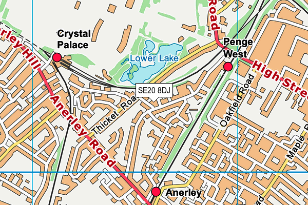 SE20 8DJ map - OS VectorMap District (Ordnance Survey)