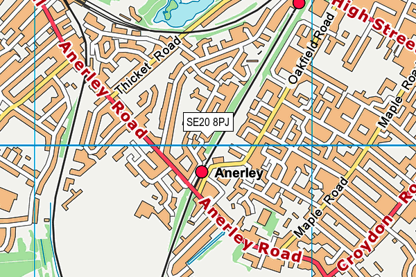 SE20 8PJ map - OS VectorMap District (Ordnance Survey) SE20 8PJ map - OS VectorMap District (Ordnance Survey)