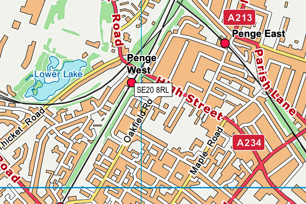 SE20 8RL map - OS VectorMap District (Ordnance Survey) SE20 8RL map - OS VectorMap District (Ordnance Survey)