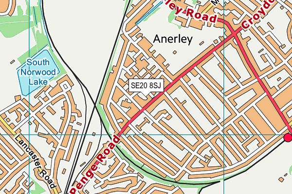 SE20 8SJ map - OS VectorMap District (Ordnance Survey) SE20 8SJ map - OS VectorMap District (Ordnance Survey)