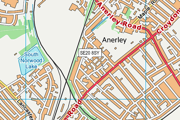 SE20 8SY map - OS VectorMap District (Ordnance Survey) SE20 8SY map - OS VectorMap District (Ordnance Survey)