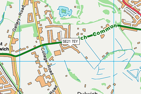 SE21 7EY map - OS VectorMap District (Ordnance Survey) SE21 7EY map - OS VectorMap District (Ordnance Survey)
