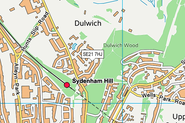 SE21 7HJ map - OS VectorMap District (Ordnance Survey)