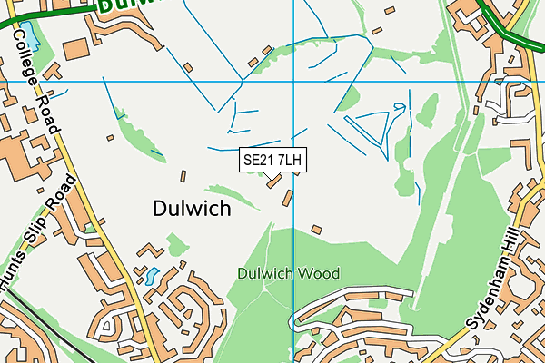 SE21 7LH map - OS VectorMap District (Ordnance Survey) SE21 7LH map - OS VectorMap District (Ordnance Survey)