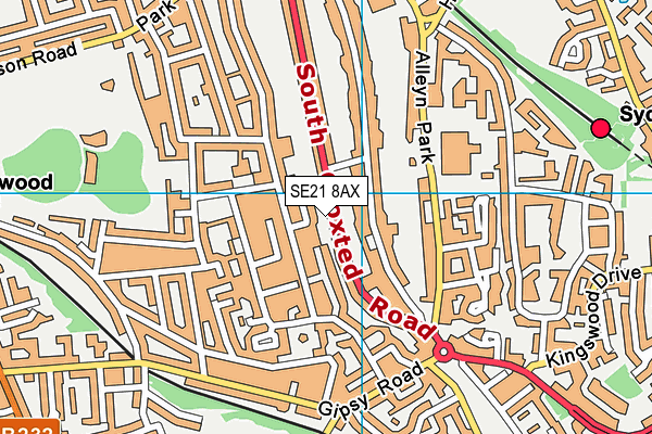 SE21 8AX map - OS VectorMap District (Ordnance Survey) SE21 8AX map - OS VectorMap District (Ordnance Survey)