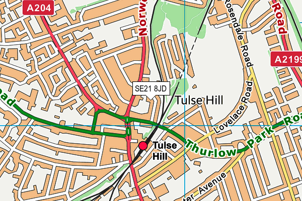 SE21 8JD map - OS VectorMap District (Ordnance Survey) SE21 8JD map - OS VectorMap District (Ordnance Survey)