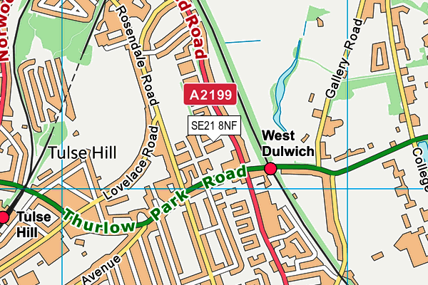SE21 8NF map - OS VectorMap District (Ordnance Survey) SE21 8NF map - OS VectorMap District (Ordnance Survey)