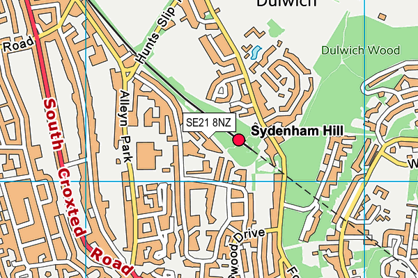 SE21 8NZ map - OS VectorMap District (Ordnance Survey)