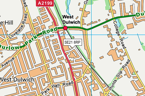 SE21 8RP map - OS VectorMap District (Ordnance Survey) SE21 8RP map - OS VectorMap District (Ordnance Survey)