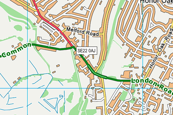 SE22 0AJ map - OS VectorMap District (Ordnance Survey) SE22 0AJ map - OS VectorMap District (Ordnance Survey)