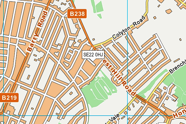 SE22 0HJ map - OS VectorMap District (Ordnance Survey) SE22 0HJ map - OS VectorMap District (Ordnance Survey)