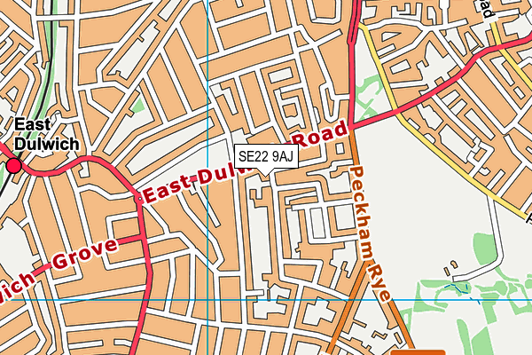 SE22 9AJ map - OS VectorMap District (Ordnance Survey) SE22 9AJ map - OS VectorMap District (Ordnance Survey)