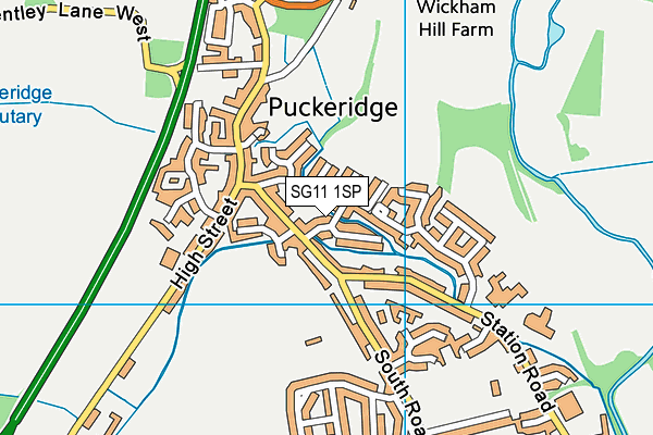 SG11 1SP map - OS VectorMap District (Ordnance Survey) SG11 1SP map - OS VectorMap District (Ordnance Survey)
