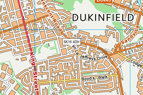 SK16 4DH map - OS VectorMap District (Ordnance Survey) SK16 4DH map - OS VectorMap District (Ordnance Survey)