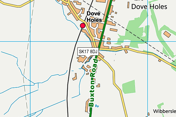 SK17 8DJ map - OS VectorMap District (Ordnance Survey)