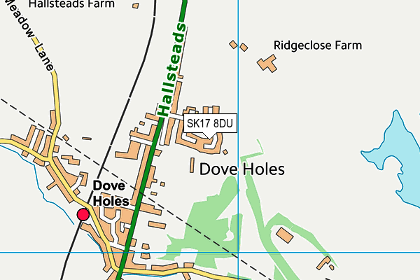 SK17 8DU map - OS VectorMap District (Ordnance Survey) SK17 8DU map - OS VectorMap District (Ordnance Survey)