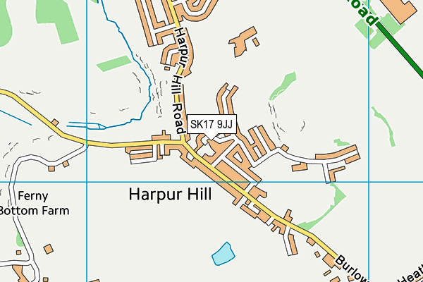 SK17 9JJ map - OS VectorMap District (Ordnance Survey) SK17 9JJ map - OS VectorMap District (Ordnance Survey)