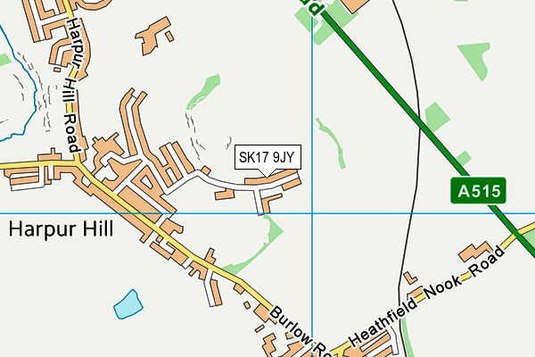 SK17 9JY map - OS VectorMap District (Ordnance Survey) SK17 9JY map - OS VectorMap District (Ordnance Survey)