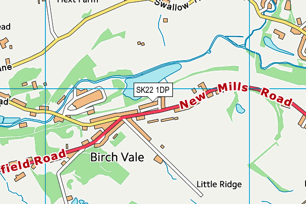 SK22 1DP map - OS VectorMap District (Ordnance Survey)
